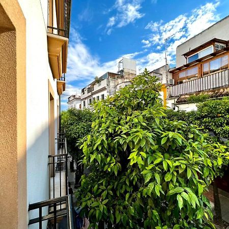 San Fernando De La Ribera Lägenhet Córdoba Exteriör bild