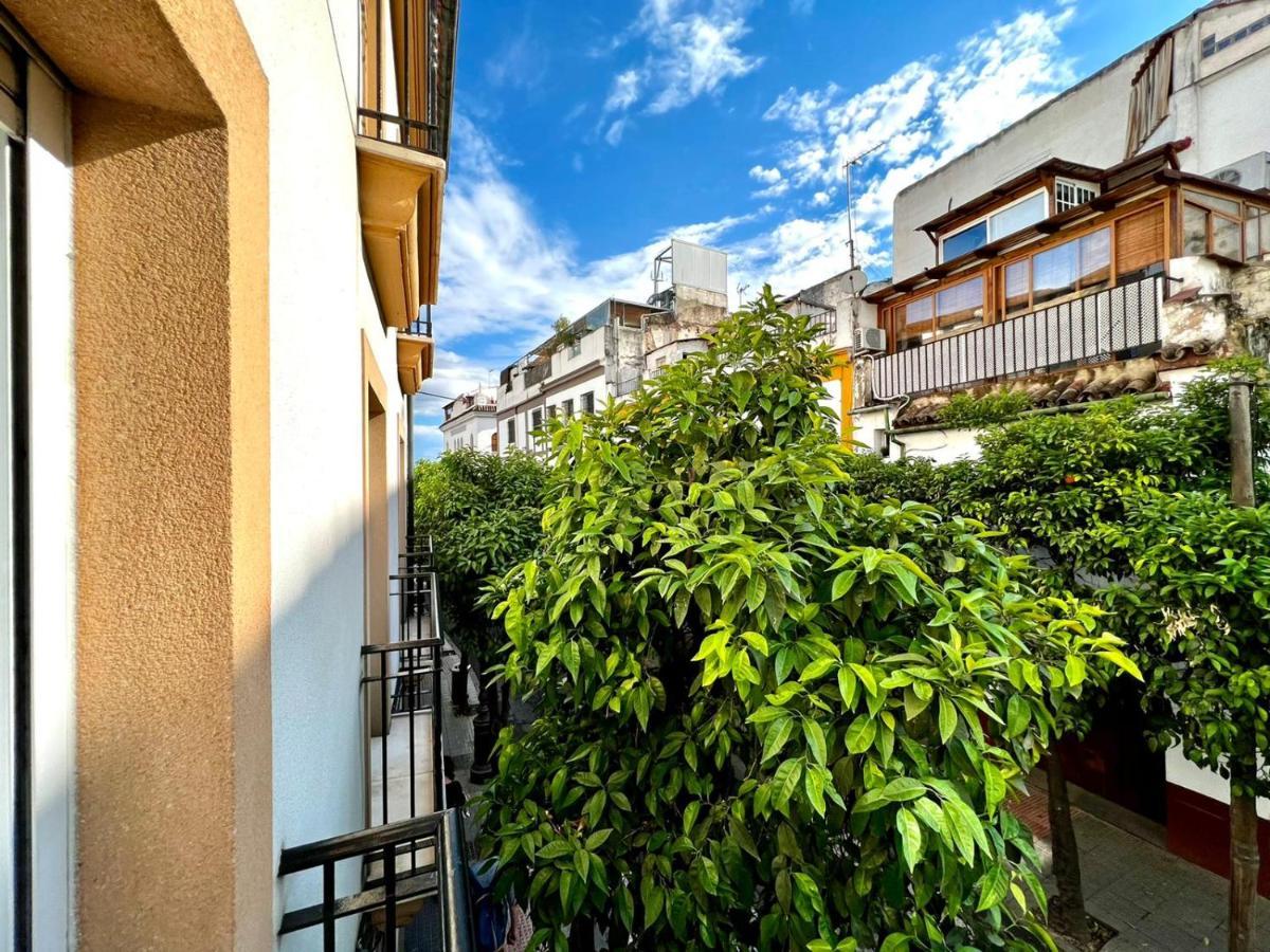 San Fernando De La Ribera Lägenhet Córdoba Exteriör bild